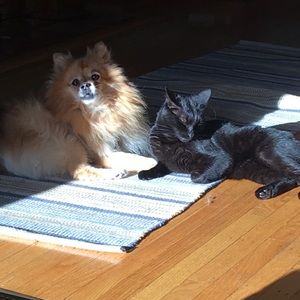 Meet your Posher, Susana